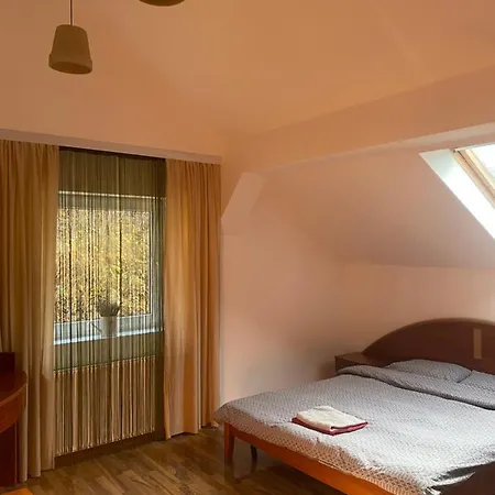 Villa Zetta Brasov Exterior photo