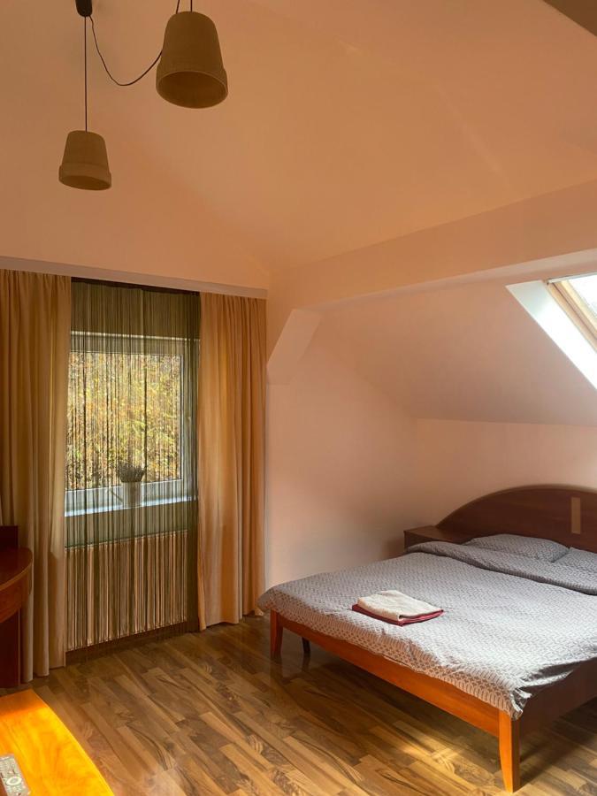Zetta Brasov
