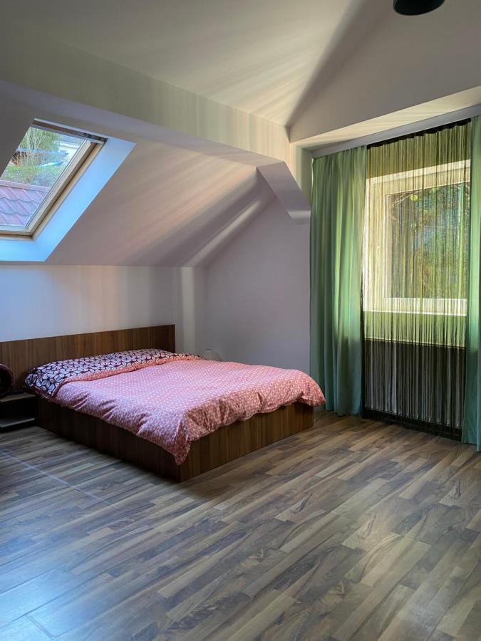 Homestay Zetta Brasov
